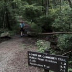 Snake Den Trail at Cosby Campground