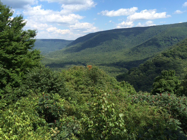 Baughman Rock Overlook