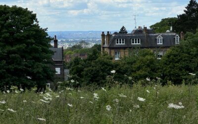 Slow Pub Crawl in Hampstead