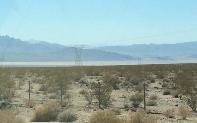 Mojave Desert