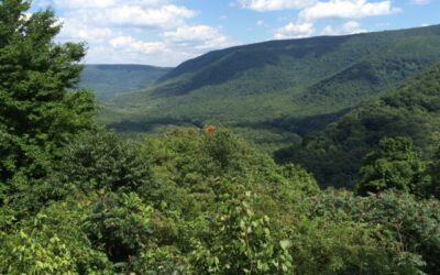 Baughman Rock Overlook