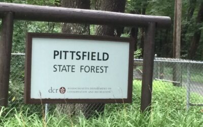 Pittsfield State Forest