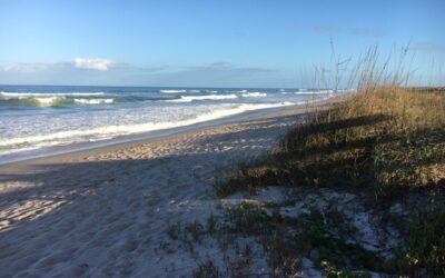 Beach Afternoon 